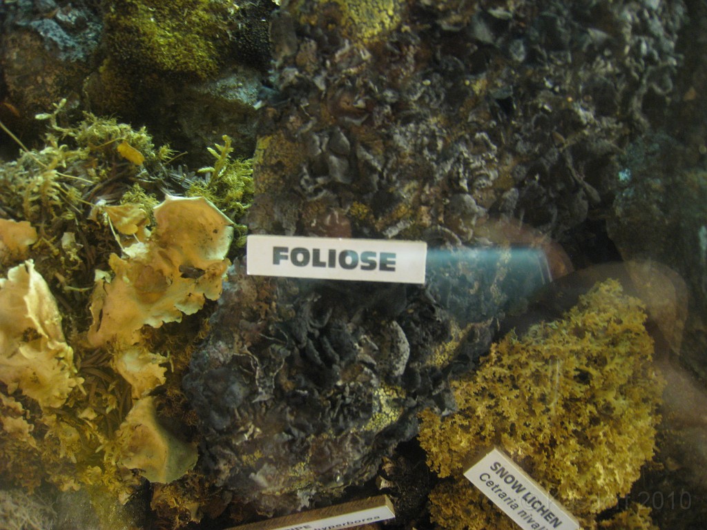 Mt Washington NH 2010 0540.jpg - Mt Washington NH. On May 23 2010 drove the road to the summit. Looked at the views, took some pictures, and drove back down.